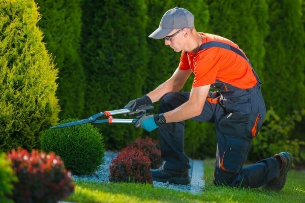 what-can-i-expect-from-residential-gardening-services